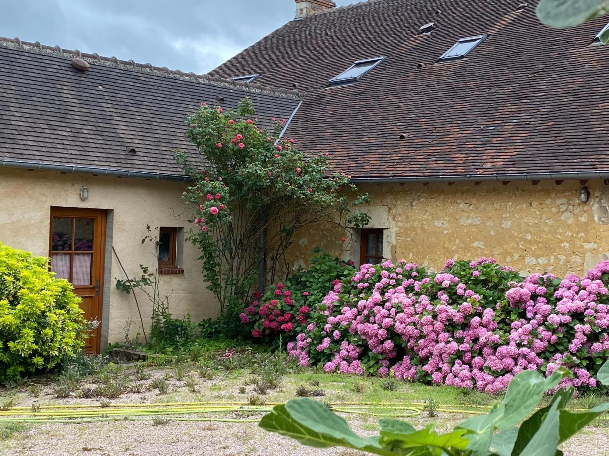 Chambre D'Hotes Du Domaine De La Haute Poignandiere Saint-Germain-de-la-Coudre Екстериор снимка